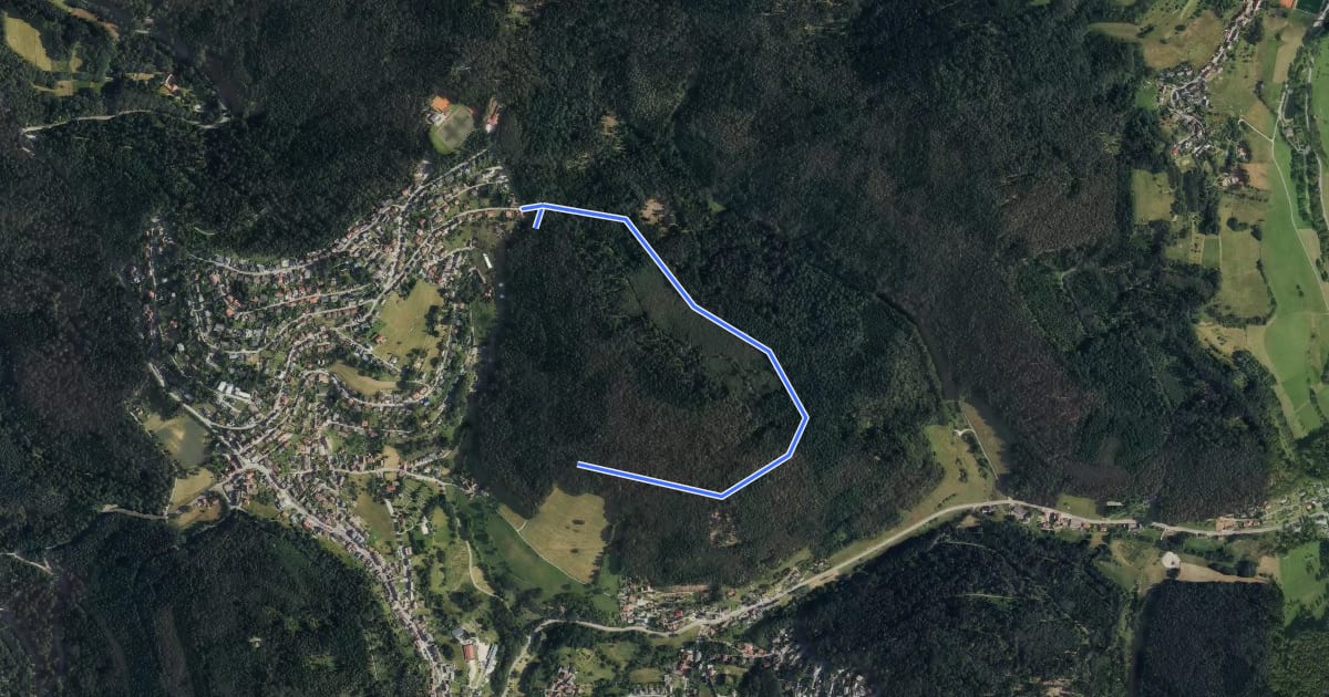 Маршрут Rundwanderweg Wilhelmsfeld 4: Unterer Centwald-Weg на спутниковом снимке