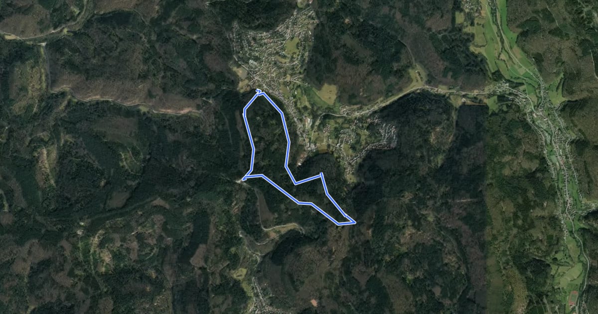 Маршрут Rundwanderweg Wilhelmsfeld 6: Holzapfelbaum-Weg на спутниковом снимке