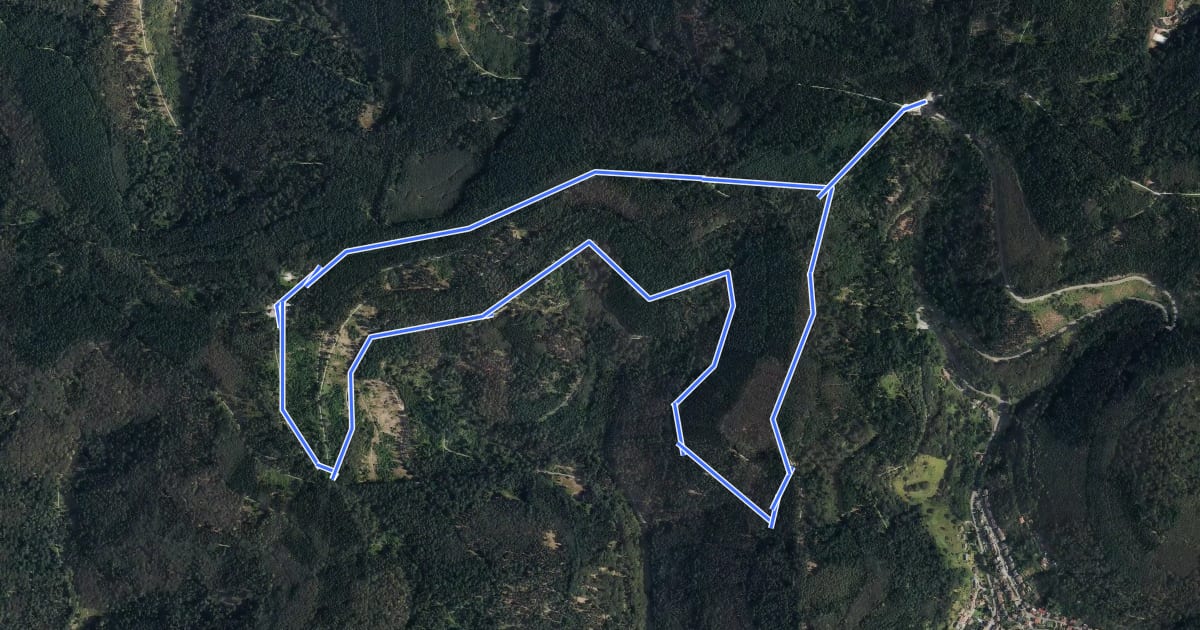 Маршрут Rundwanderweg Wilhelmsfeld 9: Allmendwaldweg на спутниковом снимке