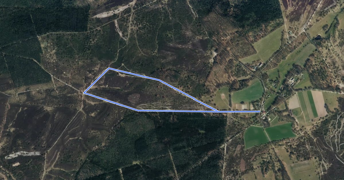 Маршрут Rundwanderweg Wilsede W1 на спутниковом снимке