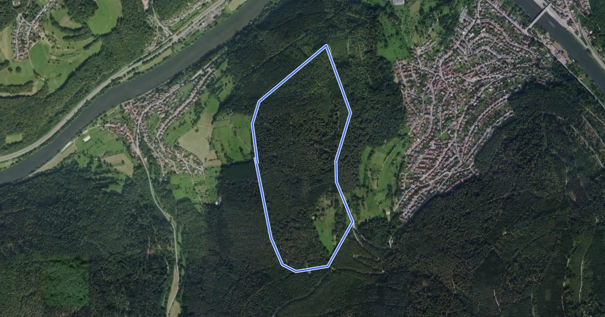Маршрут Rundwanderweg Wimmersbacher Steige 1: Bocksberg-Weg на спутниковом снимке
