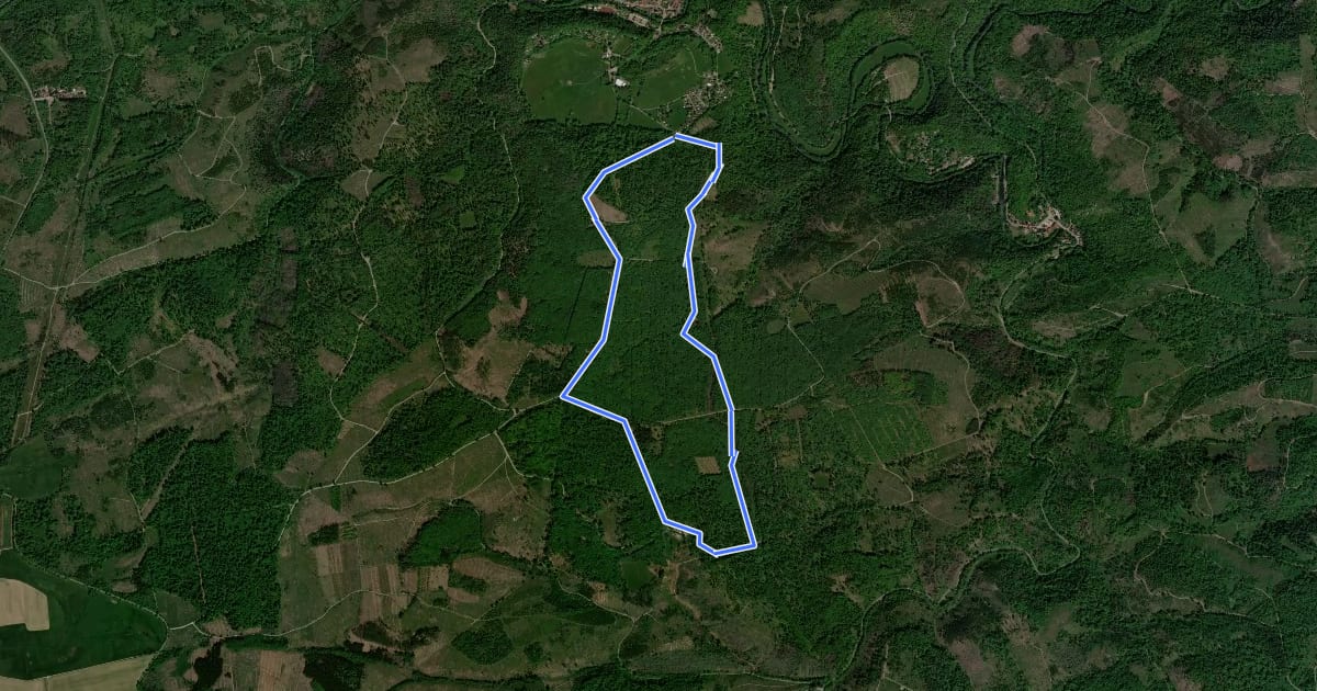 Маршрут Rundwanderweg Windenhütte - Altenbrak на спутниковом снимке
