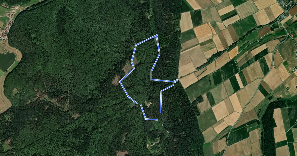 Маршрут Rundwanderweg Wolfhager Stadtwald 1 на спутниковом снимке
