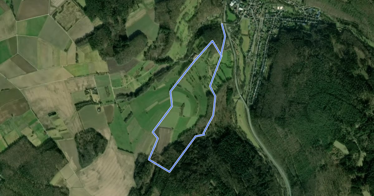 Маршрут Rundwanderweg Zell 3: Panoramaweg на спутниковом снимке