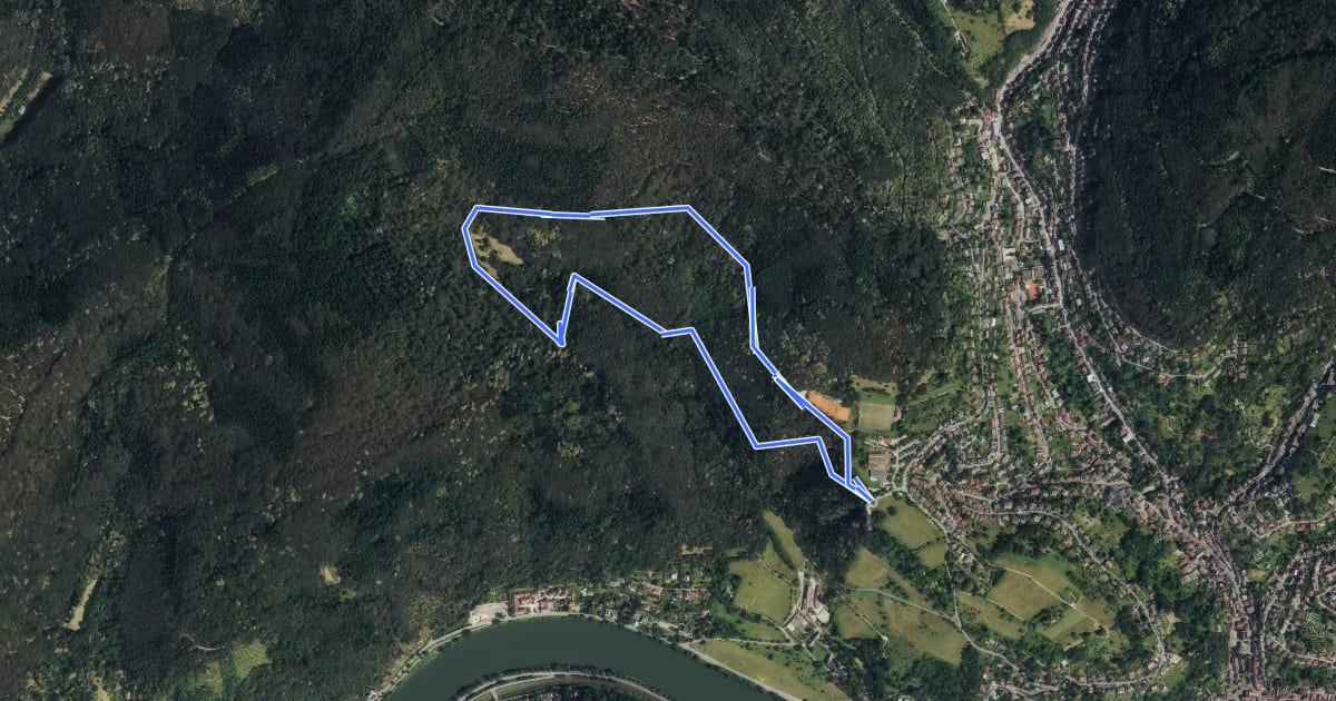 Маршрут Rundwanderweg Ziegelhausen 4: Mausbachwiesen-Weg на спутниковом снимке