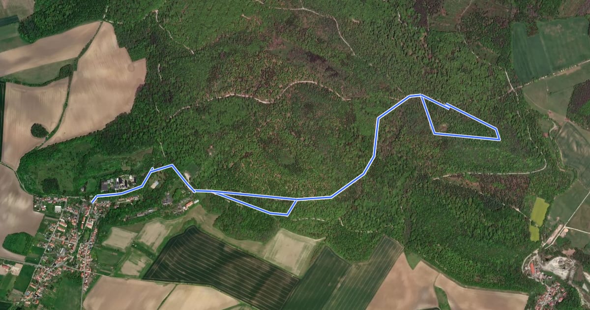 Маршрут Rundwanderweg zur Monraburg на спутниковом снимке
