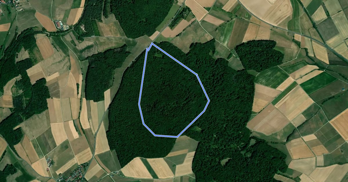 Маршрут Rundweg 1, Rückersberg на спутниковом снимке