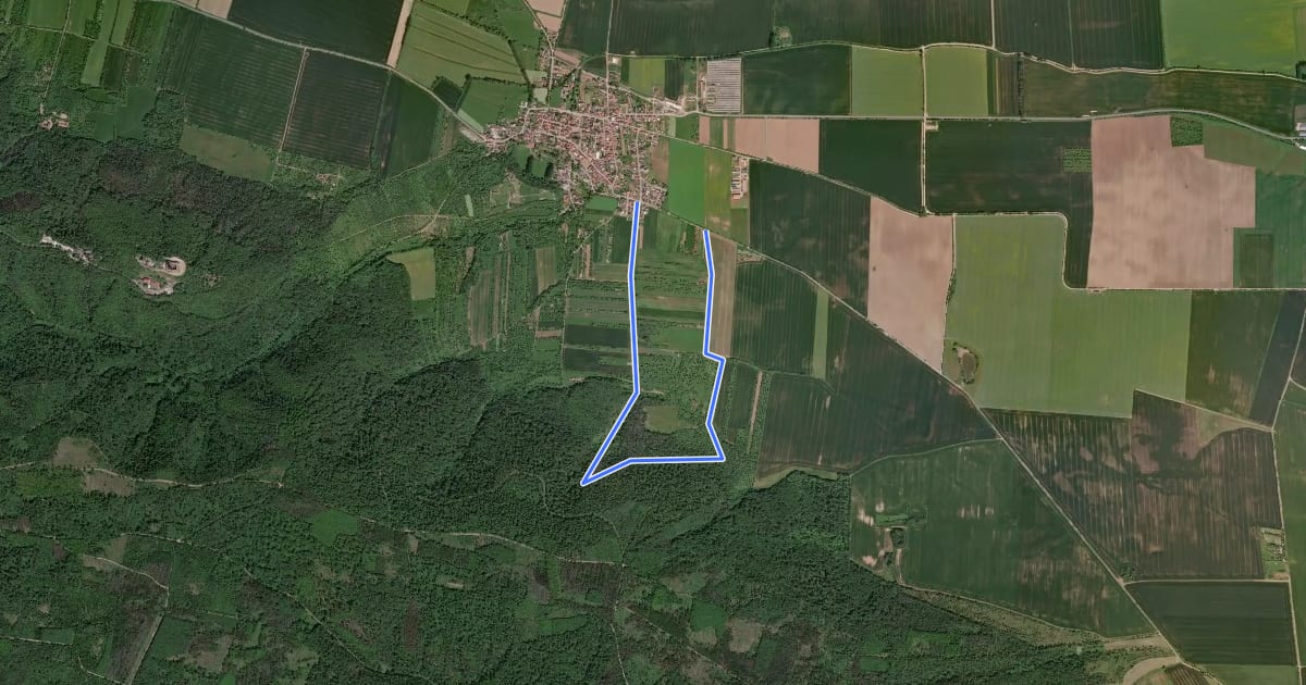 Маршрут Rundweg 1: Schleiferweg-Dorntal на спутниковом снимке