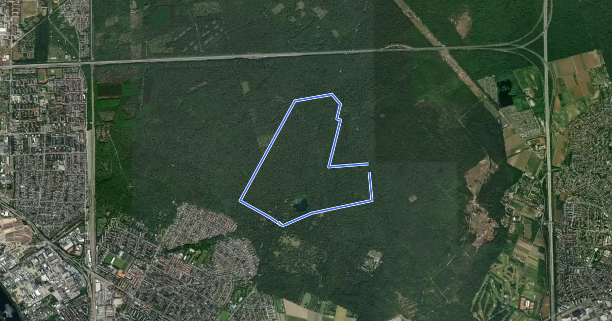 Маршрут Rundweg 2, Buckelalleeweg на спутниковом снимке