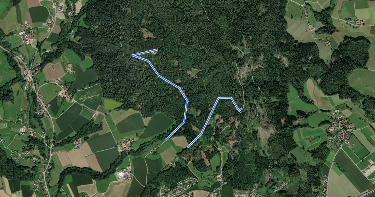 Маршрут Rundweg 2 Schellenbergrunde на спутниковом снимке