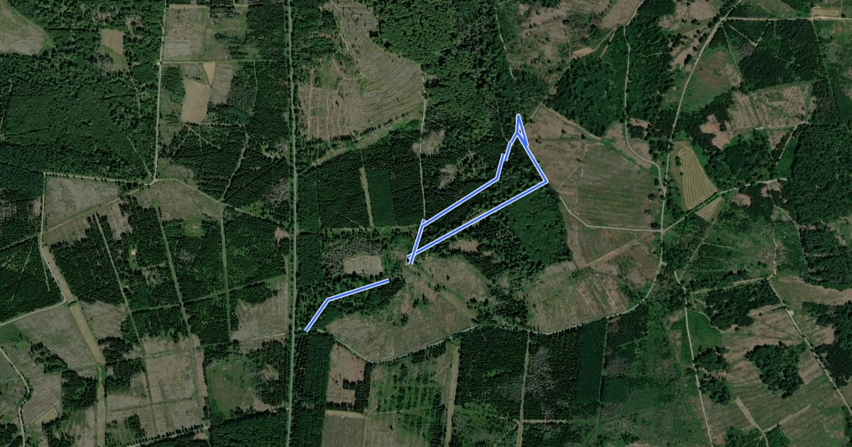 Маршрут Rundweg 5 на спутниковом снимке