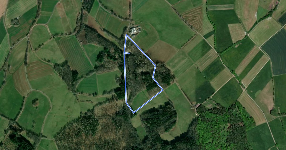Маршрут Rundweg 9, Gänskutte, Lahrbach (Tann) на спутниковом снимке