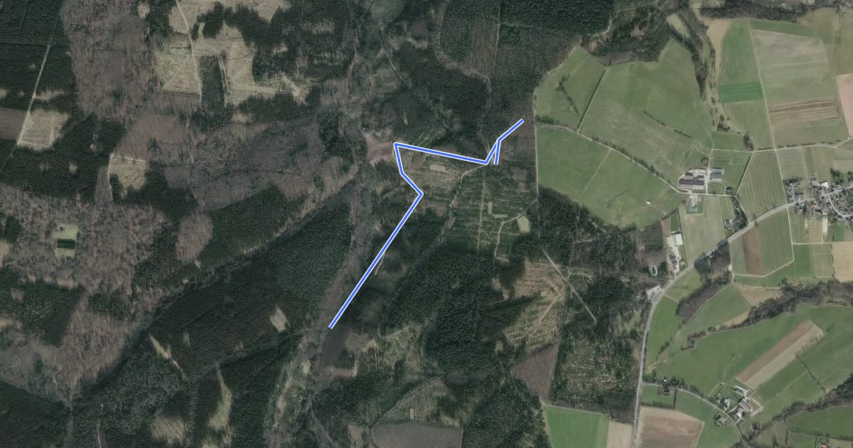 Маршрут Rundweg A1 Hürtgenwald на спутниковом снимке