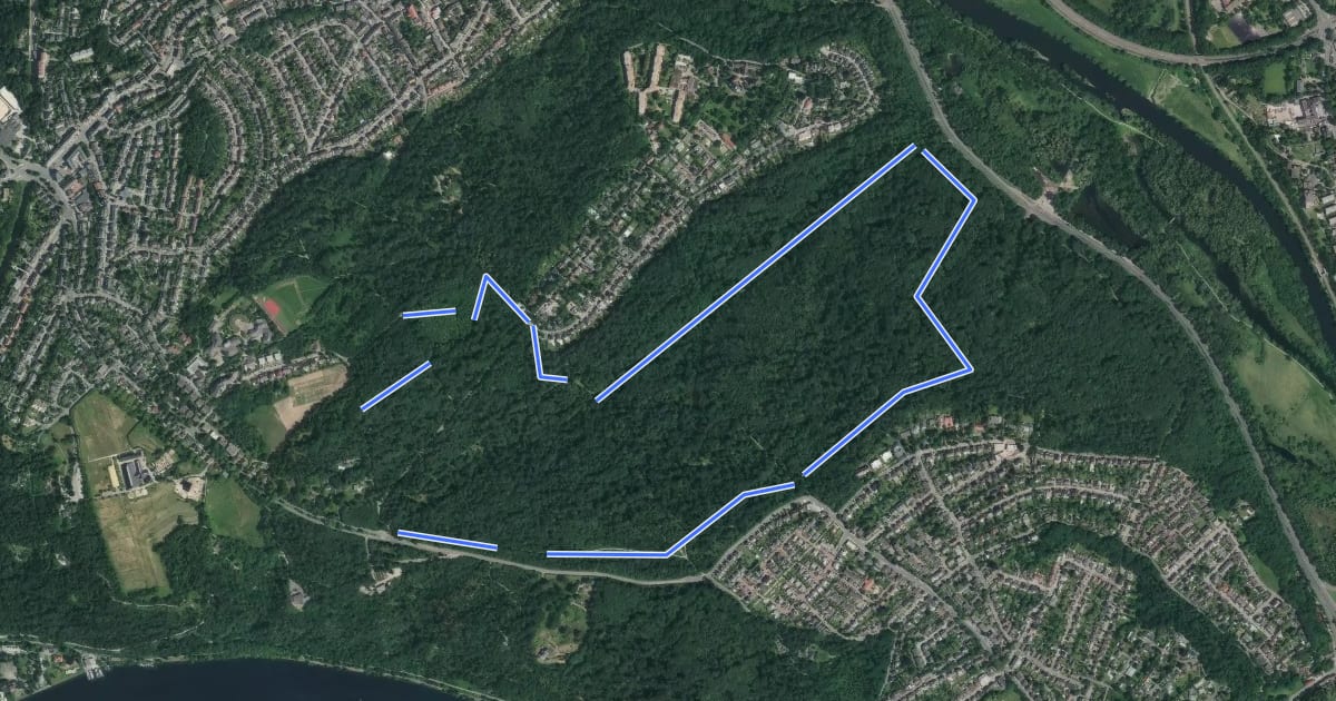 Маршрут Rundweg A2 (Schellenberger Wald) на спутниковом снимке