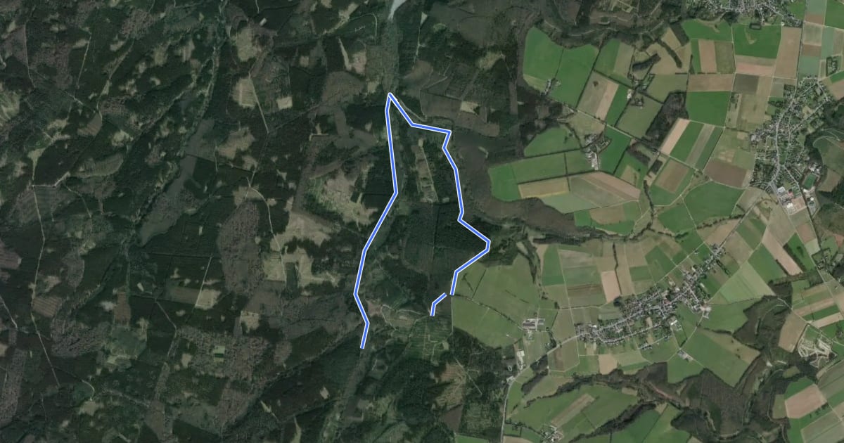 Маршрут Rundweg A3 Hürtgenwald на спутниковом снимке
