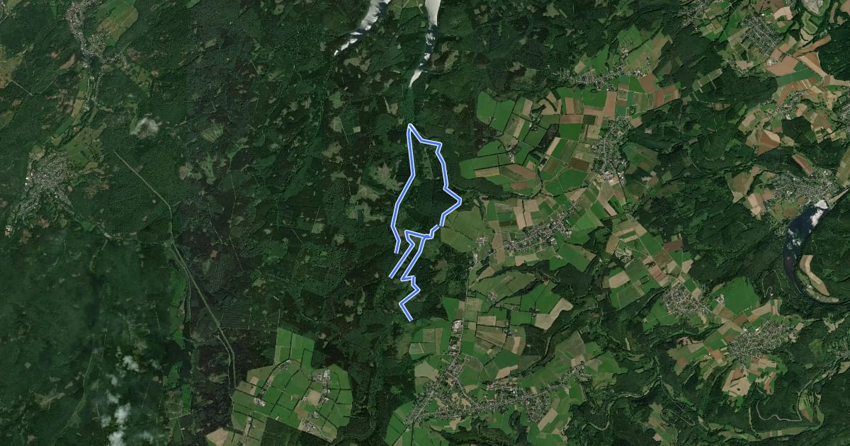 Маршрут Rundweg A4 Hürtgenwald на спутниковом снимке