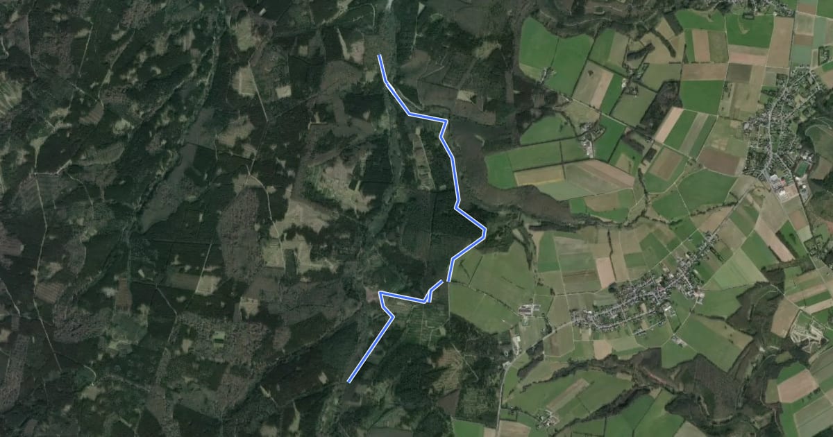 Маршрут Rundweg A7 Hürtgenwald на спутниковом снимке
