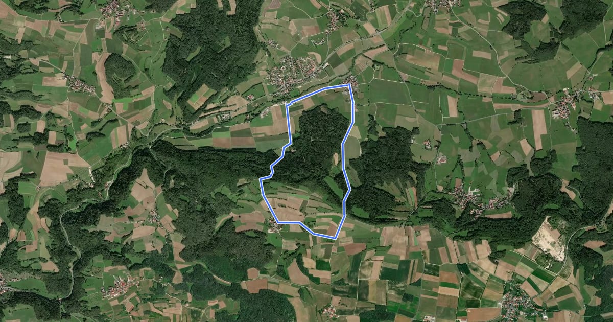 Маршрут Rundweg Ahorntal (Grüner Ring) на спутниковом снимке
