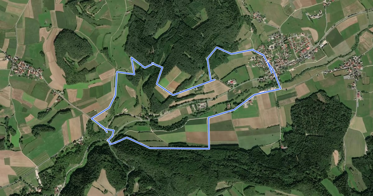 Маршрут Rundweg Ahorntal (Schwarzer Ring) на спутниковом снимке
