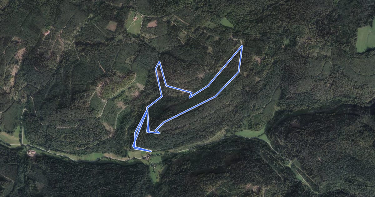 Маршрут Rundweg Bürgerwald на спутниковом снимке