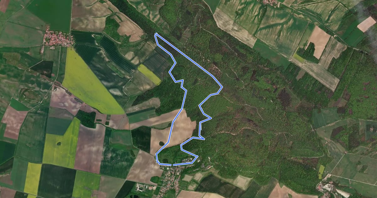 Маршрут Rundweg Beichlinger Schmücke на спутниковом снимке
