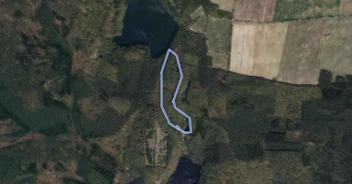 Маршрут Rundweg Binenbach на спутниковом снимке