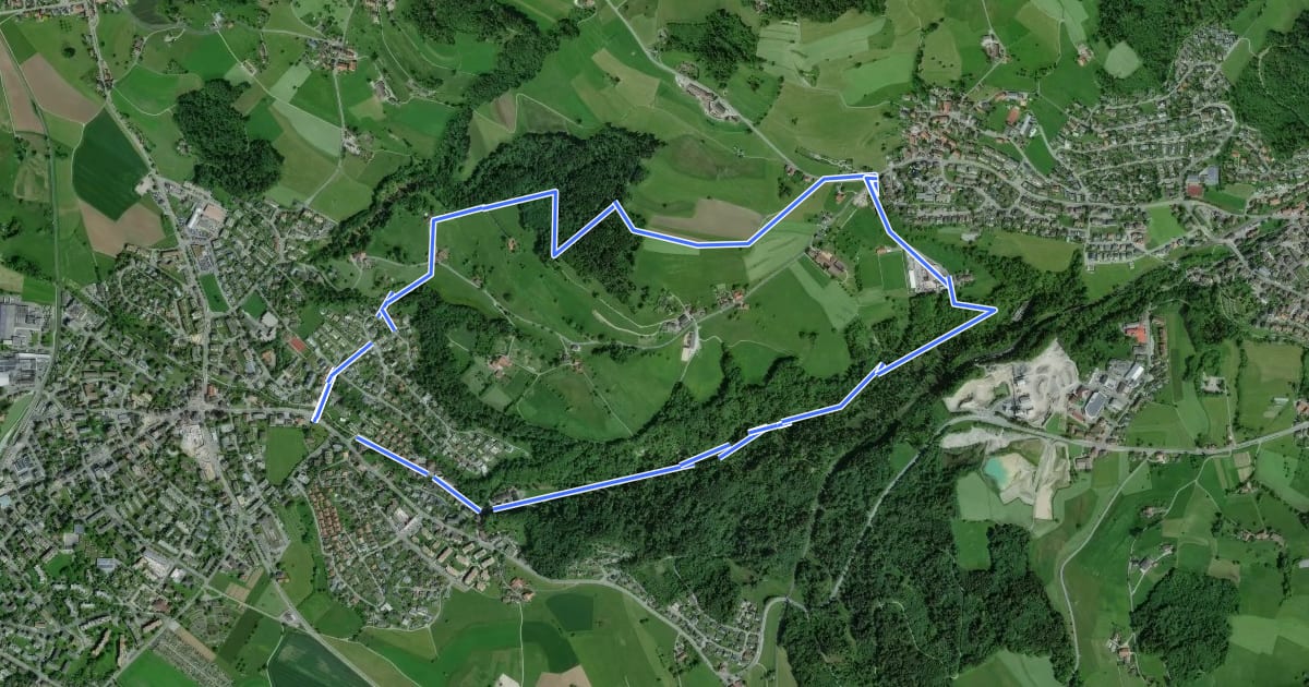 Маршрут Rundweg Burgholz на спутниковом снимке