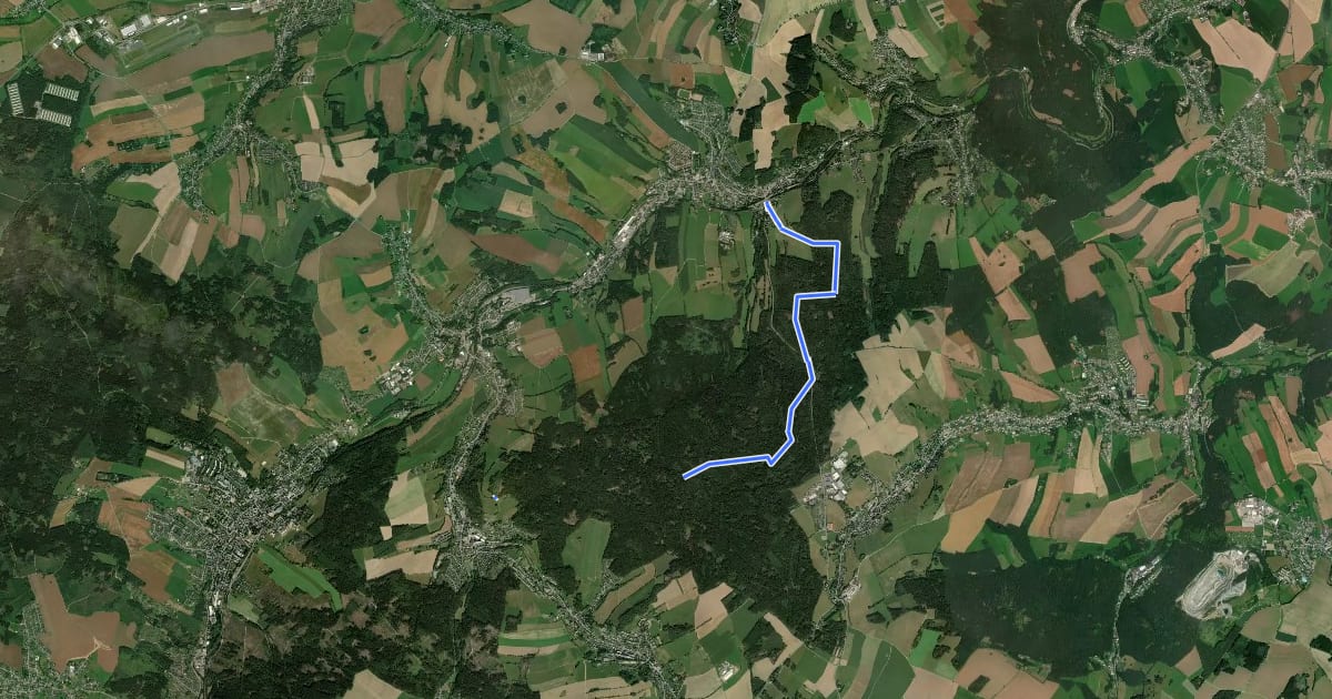 Маршрут Rundweg Burkhardtsdorf на спутниковом снимке