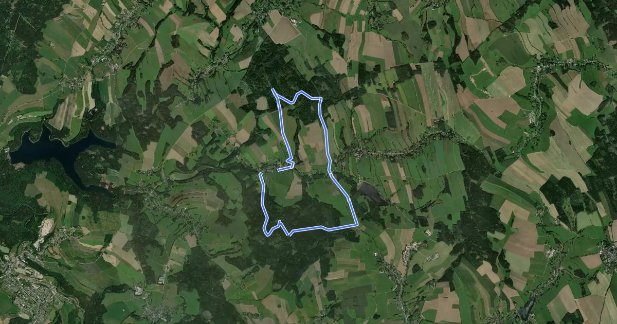 Маршрут Rundweg Dörnthal-Haselbach на спутниковом снимке