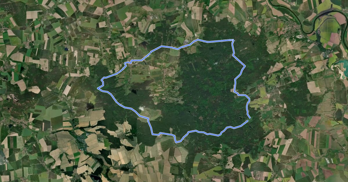 Маршрут Rundweg Dahlener Heide на спутниковом снимке