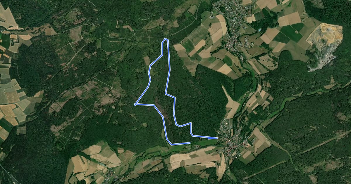 Маршрут Rundweg Eiterhagen-Schliergrund на спутниковом снимке