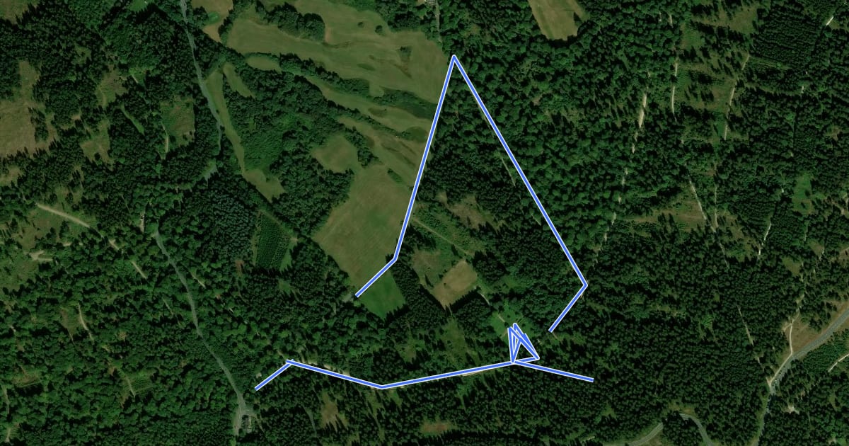 Маршрут Rundweg Feldbergkastell на спутниковом снимке