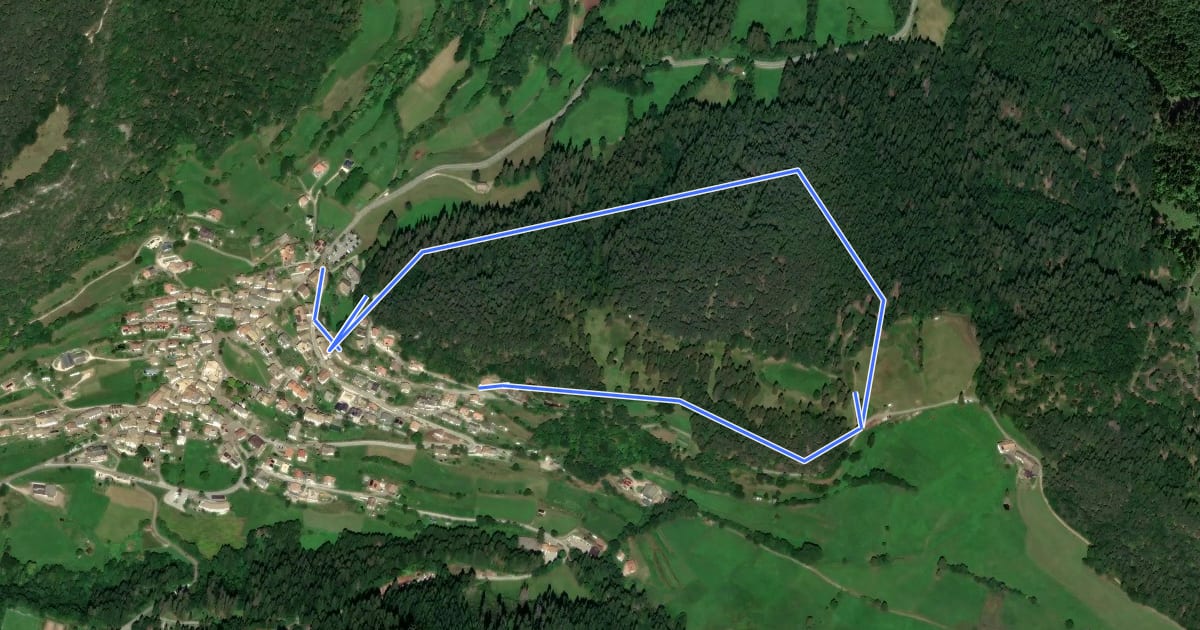 Маршрут Rundweg Forchwaldegg - Sentiero circolare Forchwaldegg на спутниковом снимке
