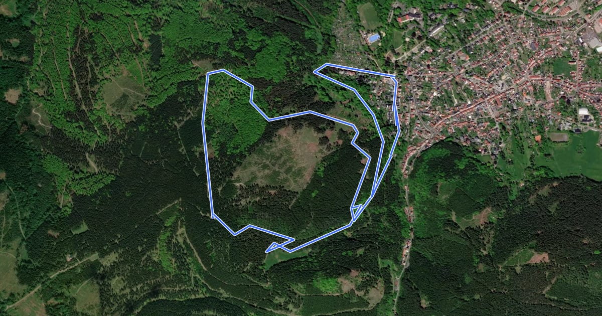 Маршрут Rundweg Gänsekuppe на спутниковом снимке