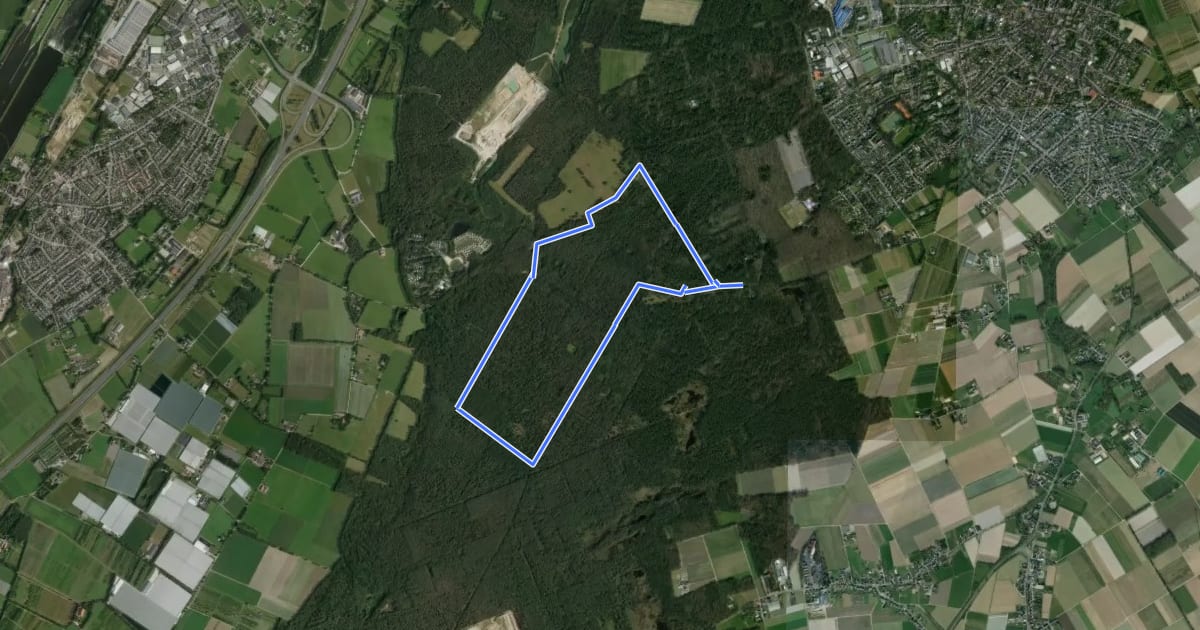 Маршрут Rundweg Galgenvenn - grün на спутниковом снимке