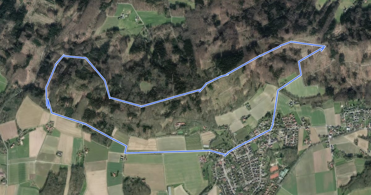 Маршрут Rundweg "Grüner See – Nonnenstein" ("Linkerberg L3") на спутниковом снимке