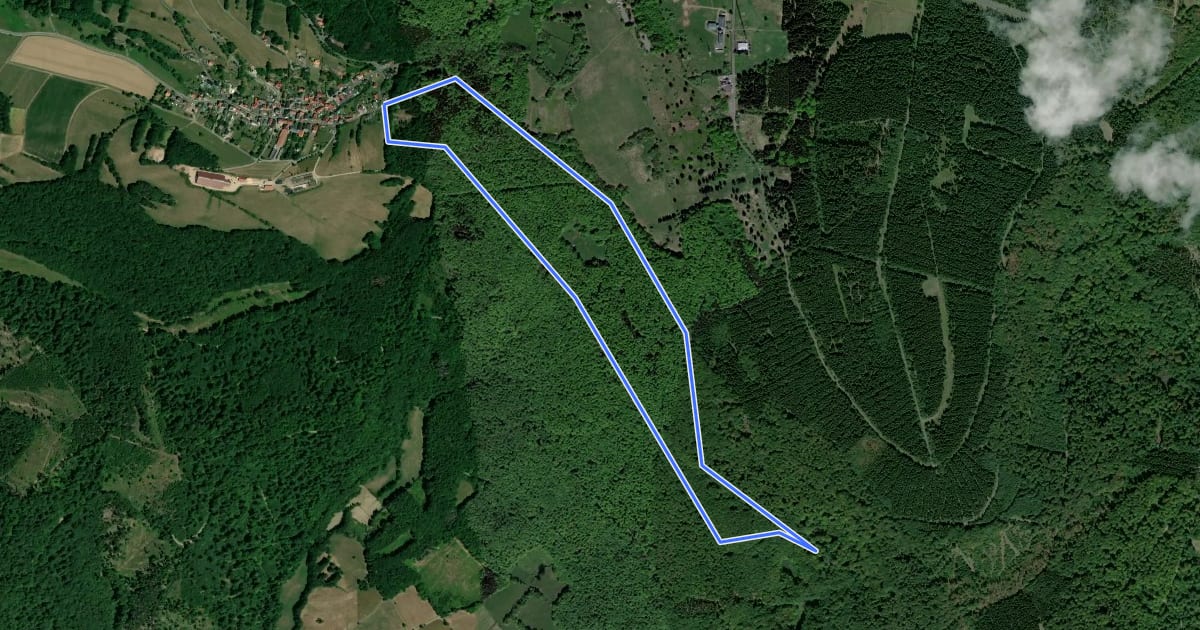 Маршрут Rundweg Hausen-Seesteine на спутниковом снимке