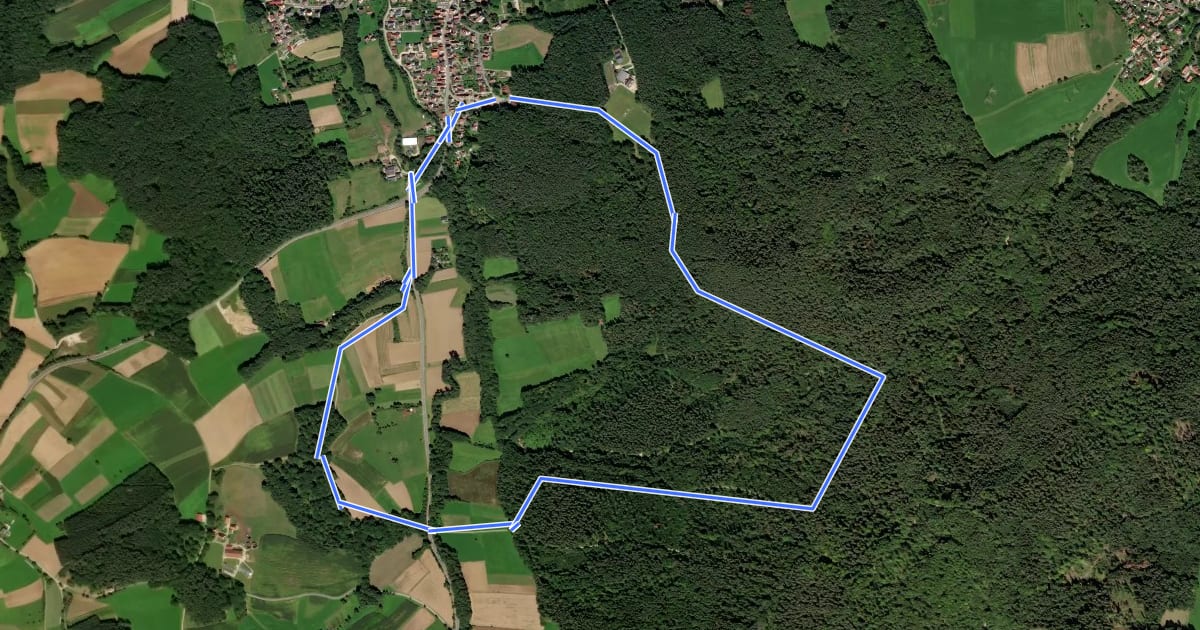 Маршрут Rundweg Henfenfeld – Reschenberg-Klosterberg-Pass на спутниковом снимке