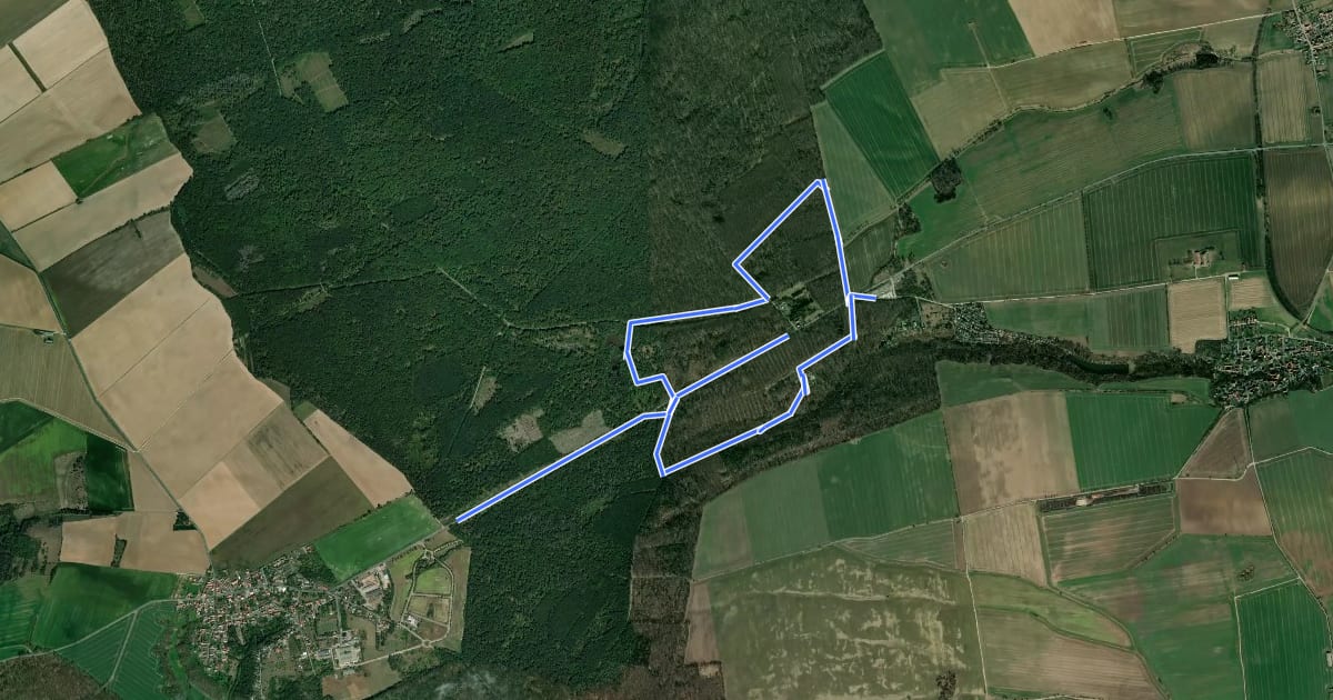 Маршрут Rundweg Hermannseck на спутниковом снимке