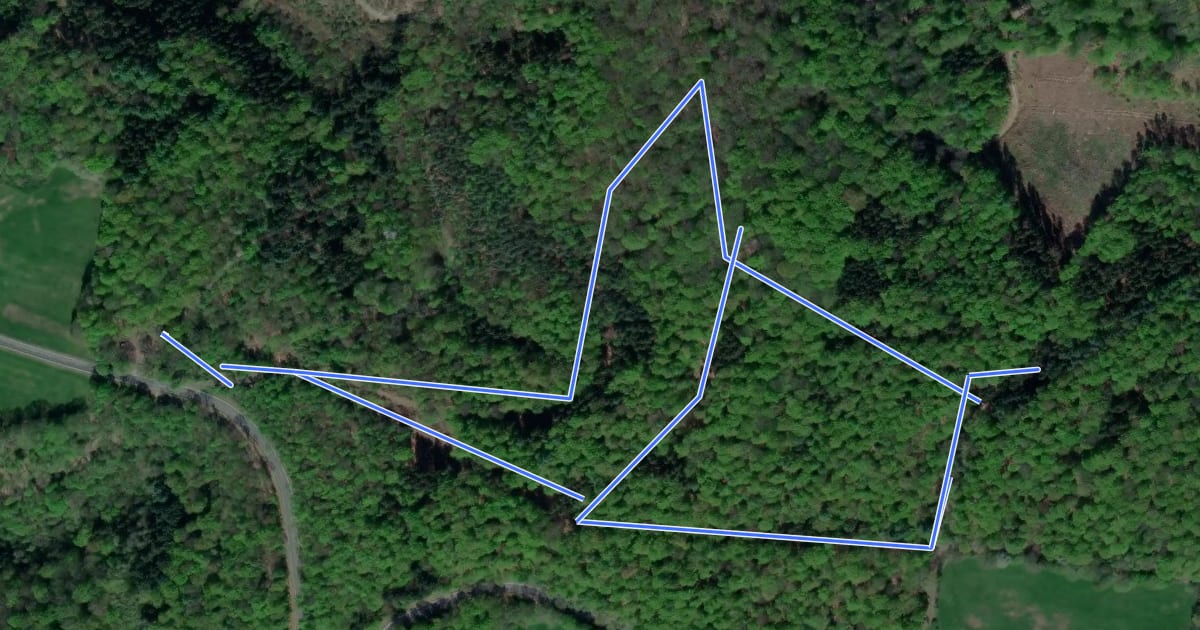 Маршрут Rundweg Herz-Kreislauf-Pfad на спутниковом снимке
