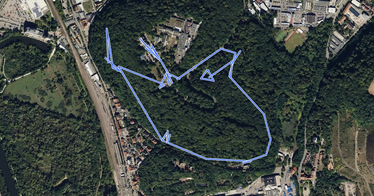 Маршрут Rundweg Historischer Halberg на спутниковом снимке