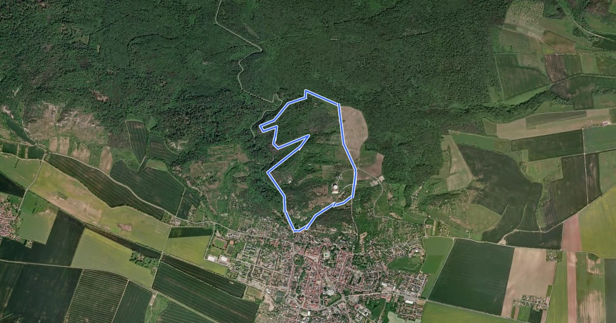 Маршрут Rundweg Hornungshöhe на спутниковом снимке