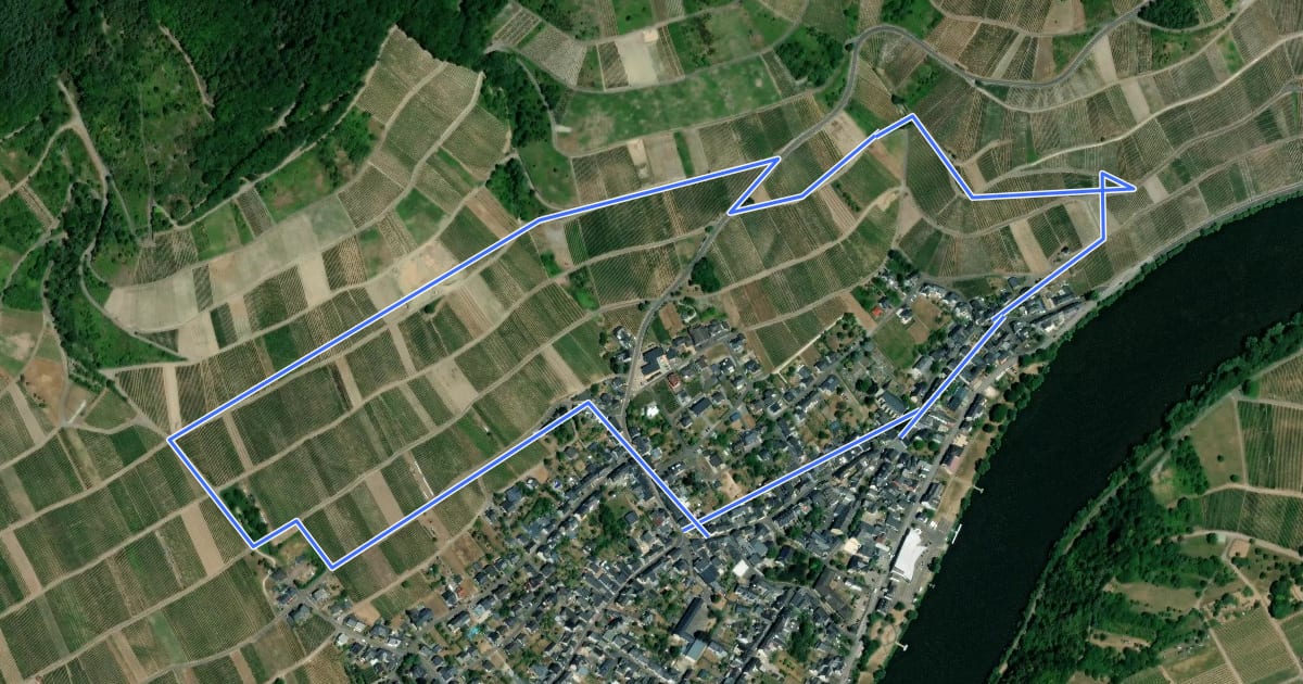 Маршрут Rundweg: Judenfriedhof - Weinlehrpfad - Kesselstattkapelle - zurück на спутниковом снимке