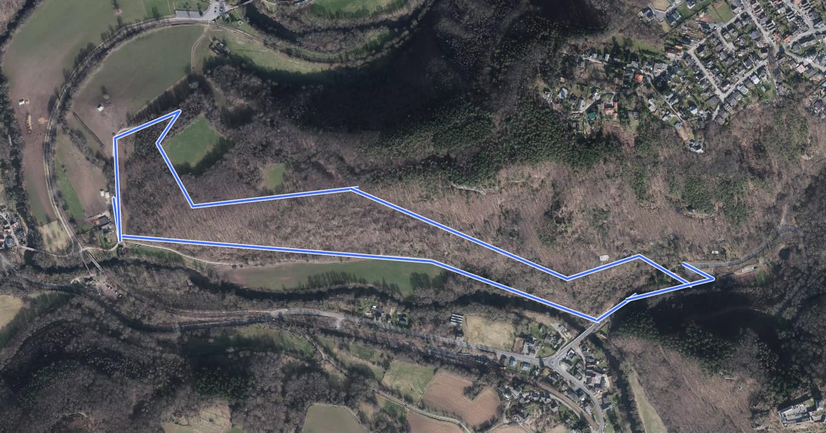Маршрут Rundweg "Laacher Berg - Wingertsweg" на спутниковом снимке