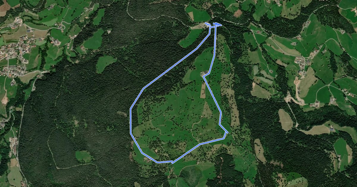 Маршрут Rundweg Langfenn на спутниковом снимке