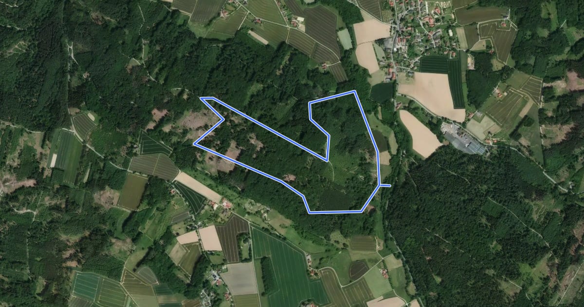 Маршрут Rundweg Linner Berg (10) на спутниковом снимке