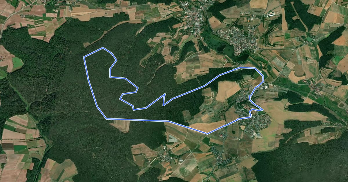 Маршрут Rundweg Lisberg L 1 "Friedleinsweg" на спутниковом снимке
