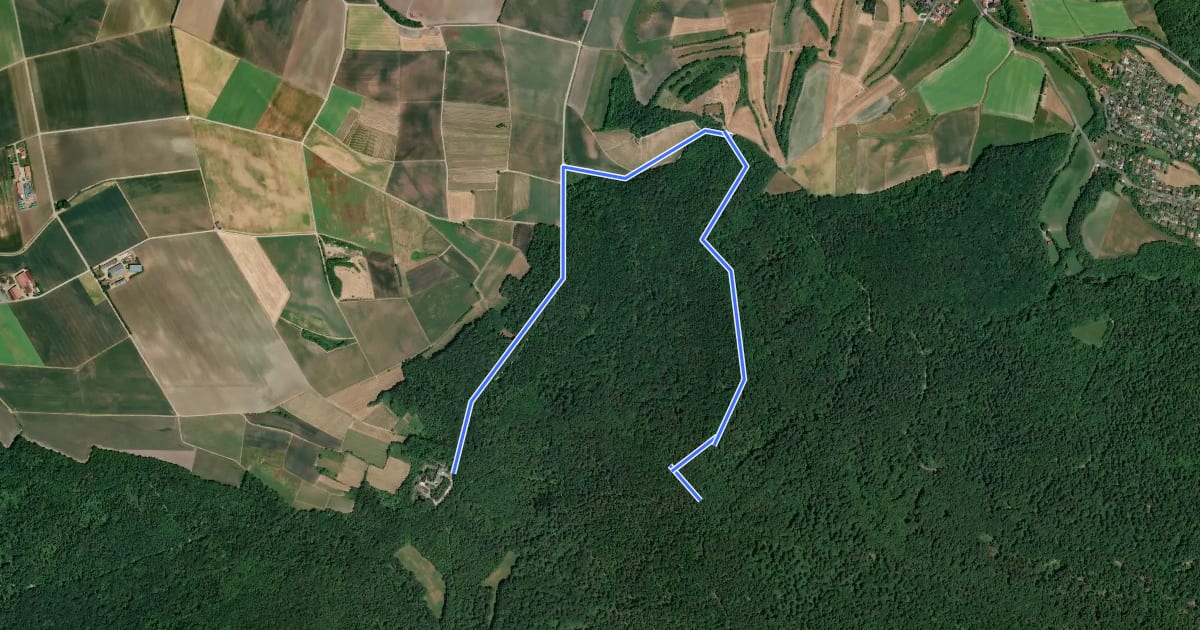 Маршрут Rundweg Michelau M1 на спутниковом снимке