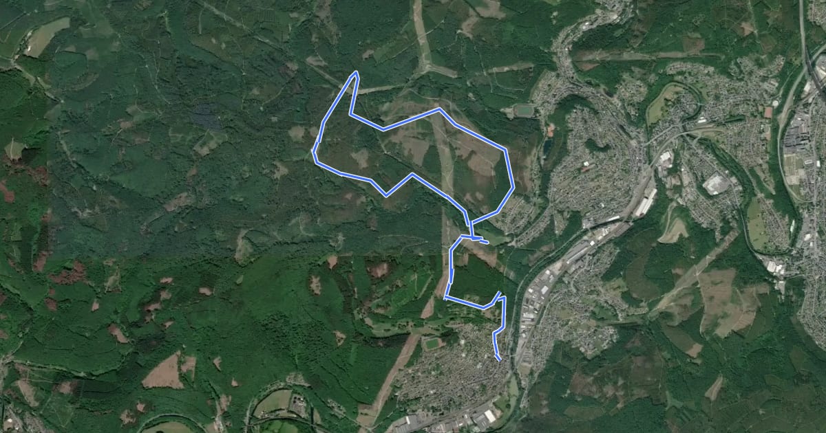 Маршрут Rundweg Mudersbach M1 на спутниковом снимке