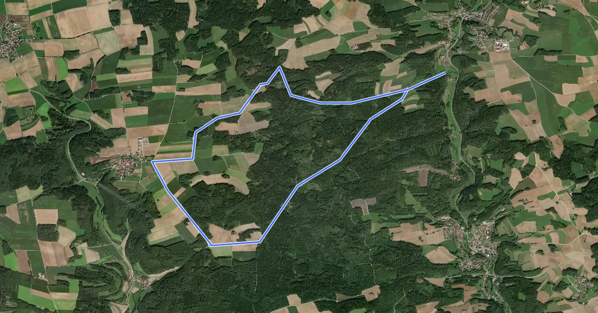 Маршрут Rundweg Neuhaus-Brunn на спутниковом снимке